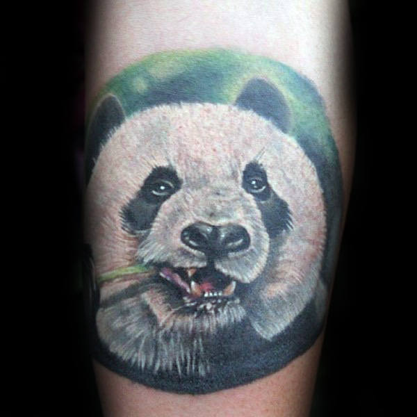 tatouage ours panda 130