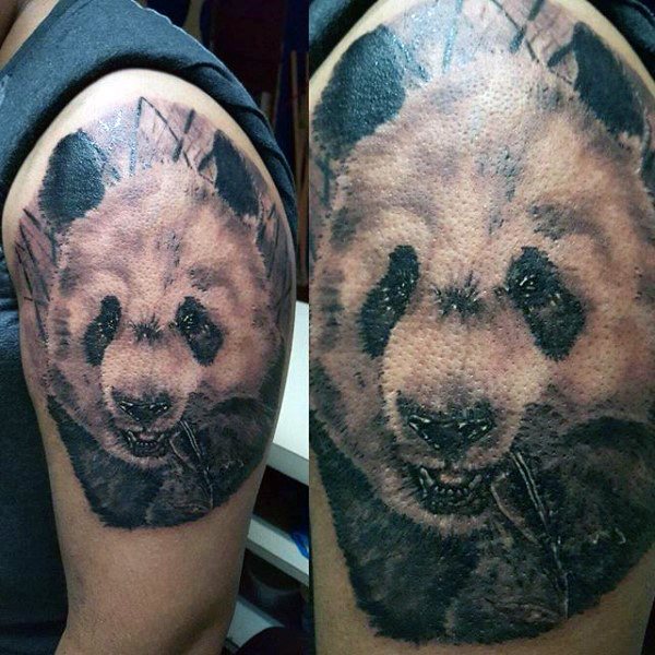 tatouage ours panda 160