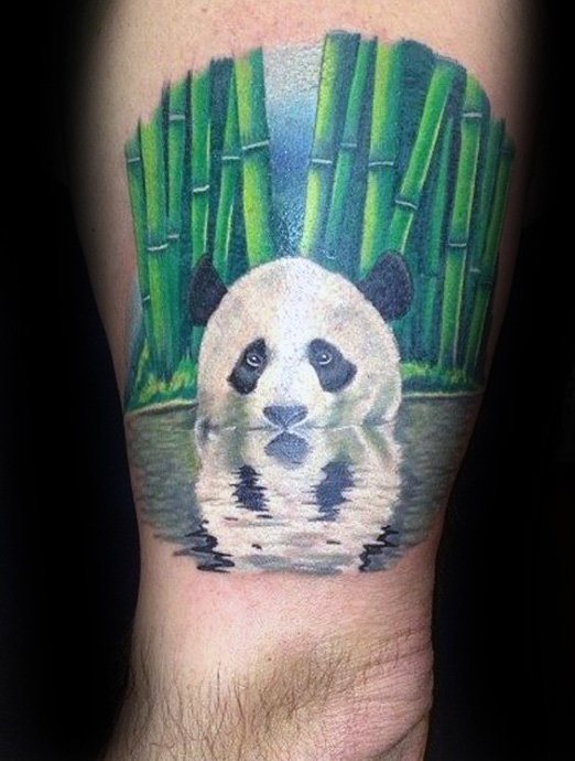 tatouage ours panda 82