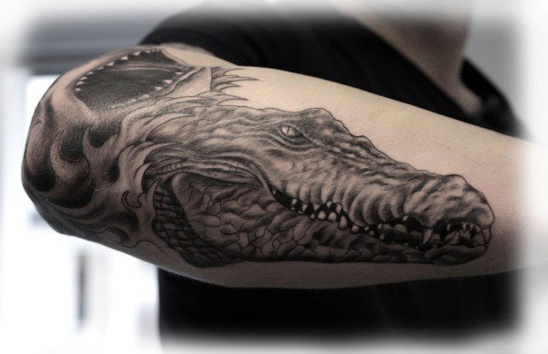 tatouage alligator 120