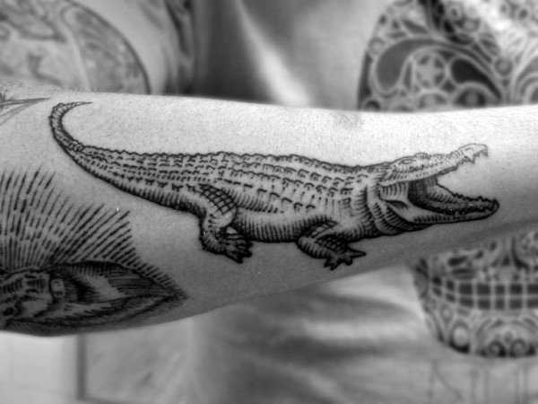 tatouage alligator 166