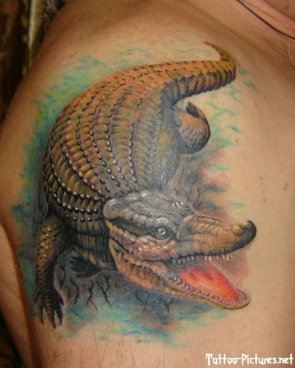 tatouage alligator 34