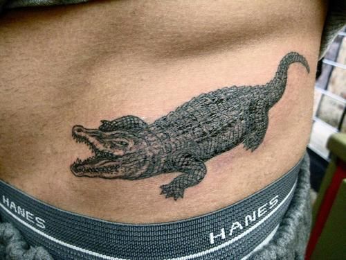 tatouage alligator 52