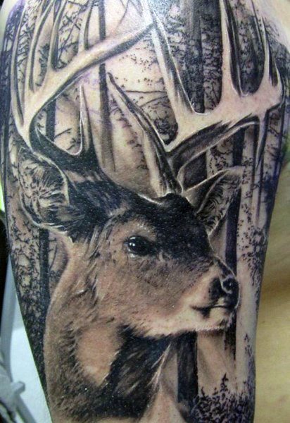 tatouage cerf 192
