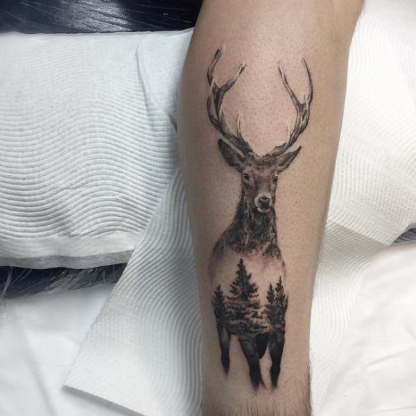 tatouage cerf 50