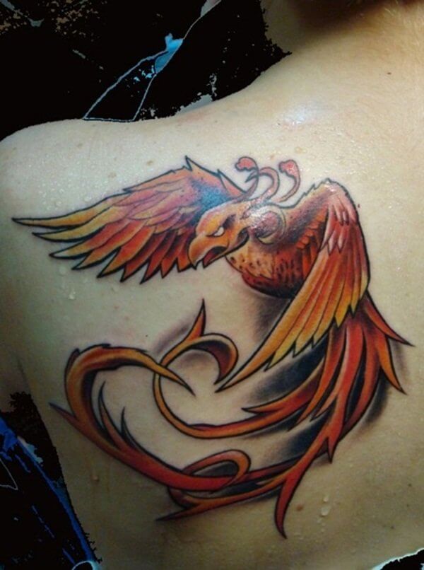 tatouage phoenix 224