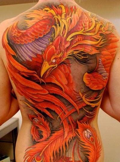 tatouage phoenix 264