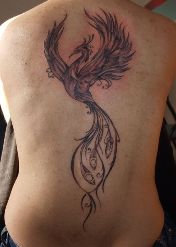 tatouage phoenix 86
