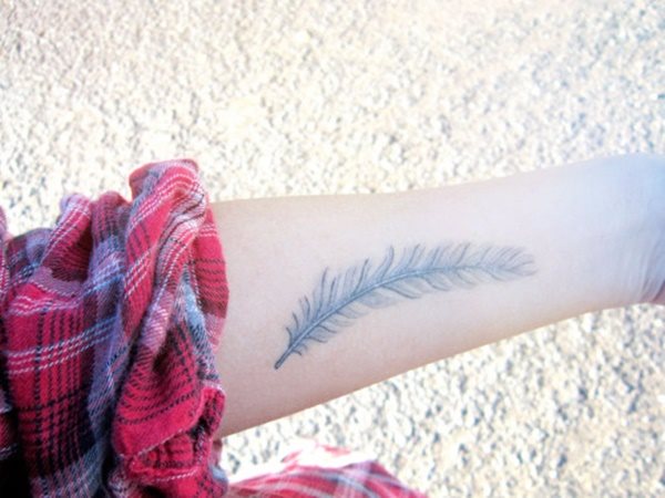 tatouage plume 170