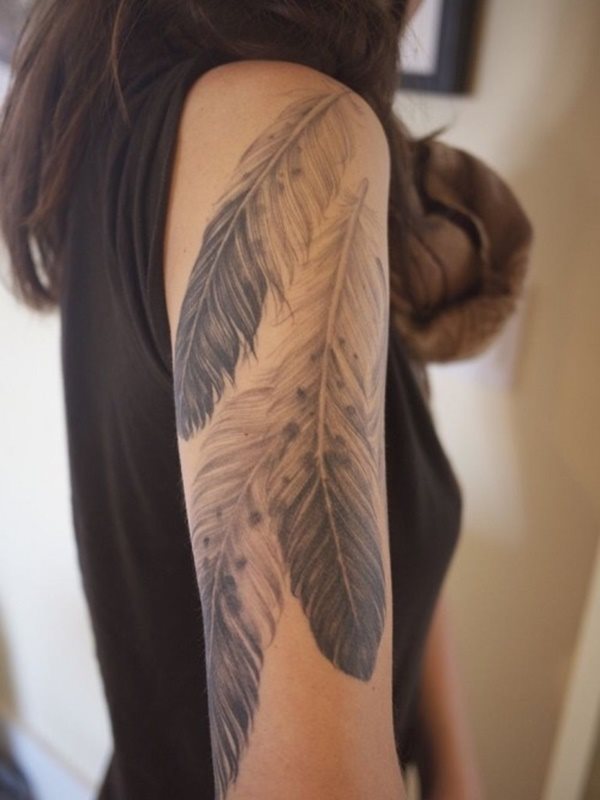 tatouage plume 260