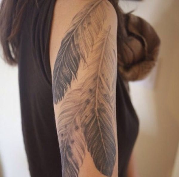 tatouage plume 352