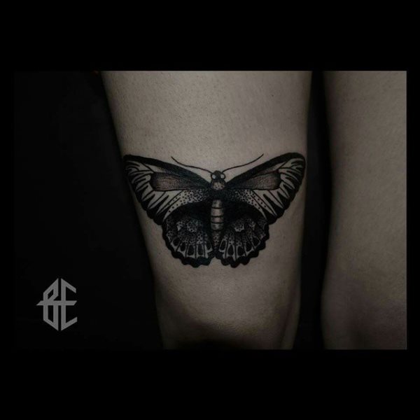 butterfly tattoo 272