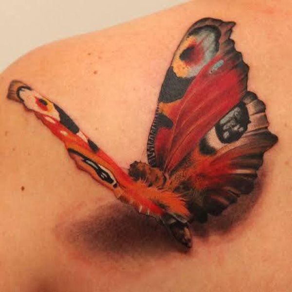 butterfly tattoo 662