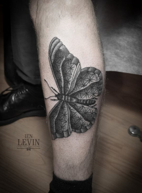 butterfly tattoo 831