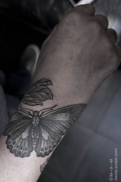 butterfly tattoo 896