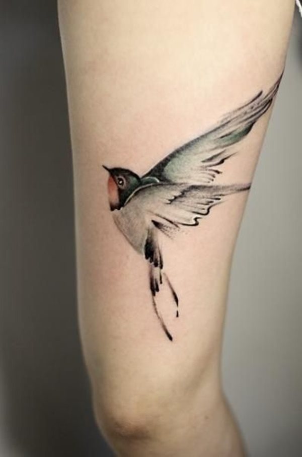 swallow tattoo 284