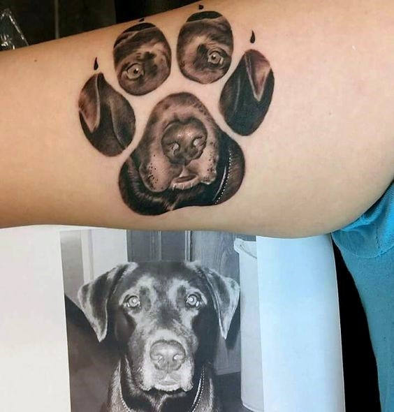 dog paw tattoo 58