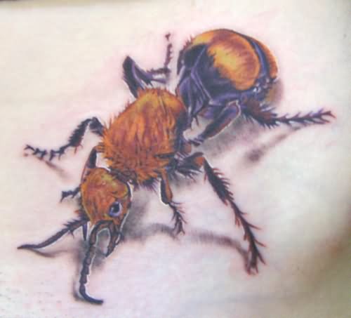 tatuaggio formica 04