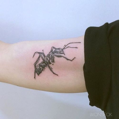 tatuaggio formica 110