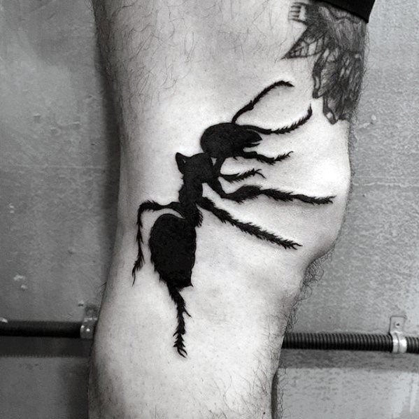 tatuaggio formica 116