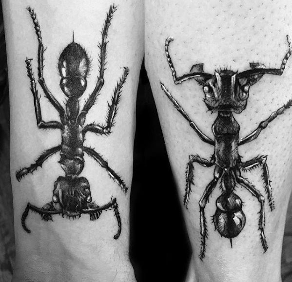 tatuaggio formica 136
