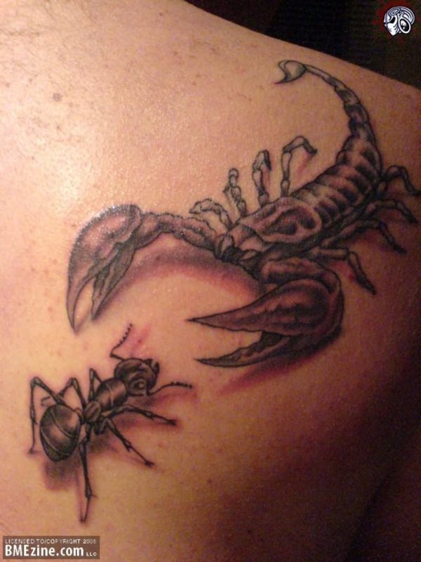 tatuaggio formica 182
