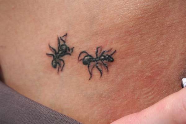 tatuaggio formica 188