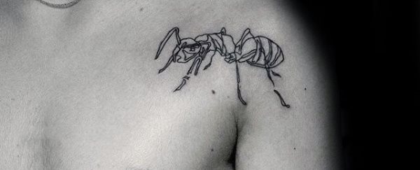 tatuaggio formica 24