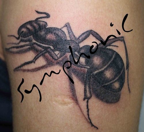 tatuaggio formica 58