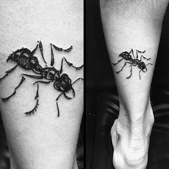 tatuaggio formica 60
