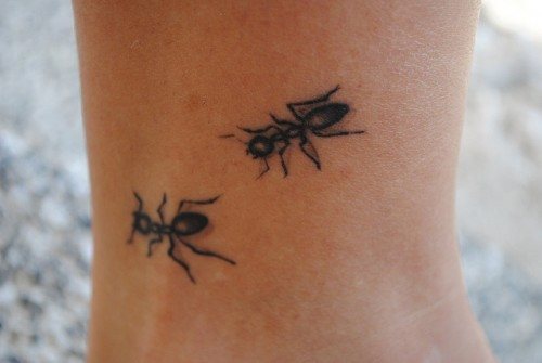 tatuaggio formica 70