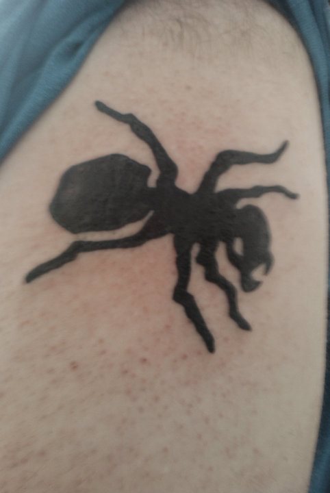 tatuaggio formica 80