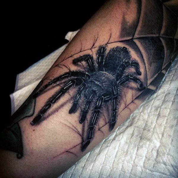tatuaggio ragno 350