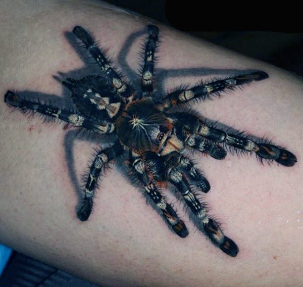 tatuaggio ragno 454