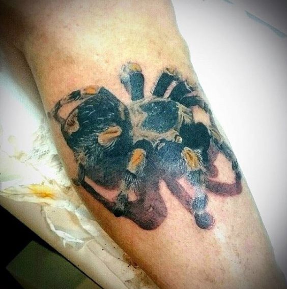 tatuaggio ragno 675
