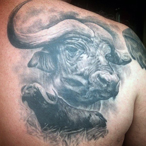 tatuaggio toro 831