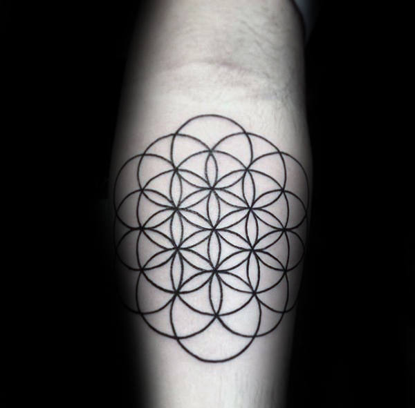 tatuaggio fiore della vita 255