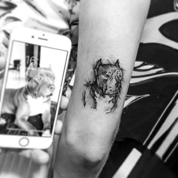 tatuaggio pitbull 134