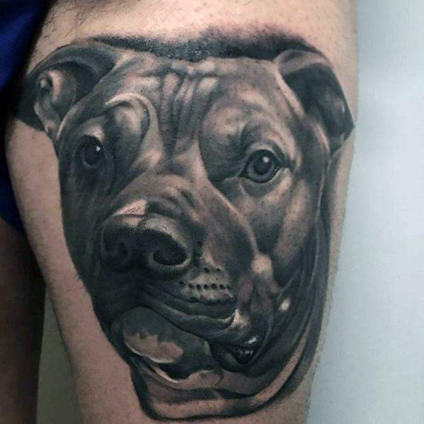 tatuaggio pitbull 137