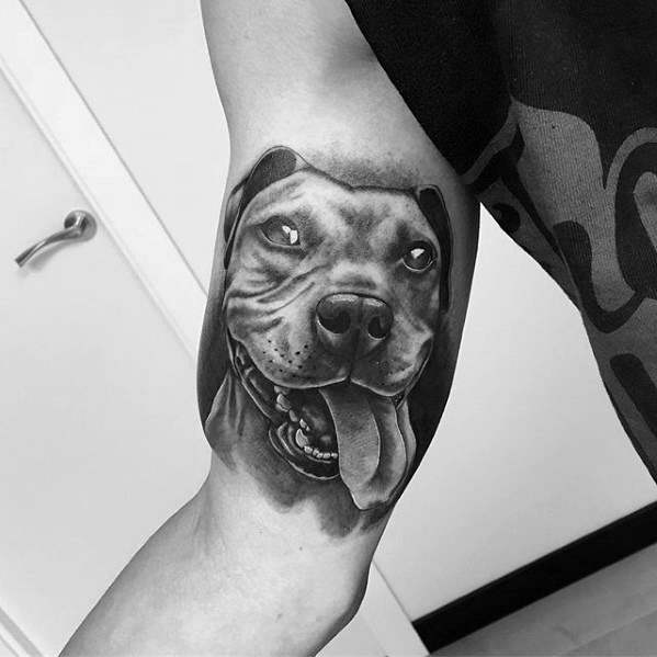 61 Tatuaggi con i pitbull (con significato)