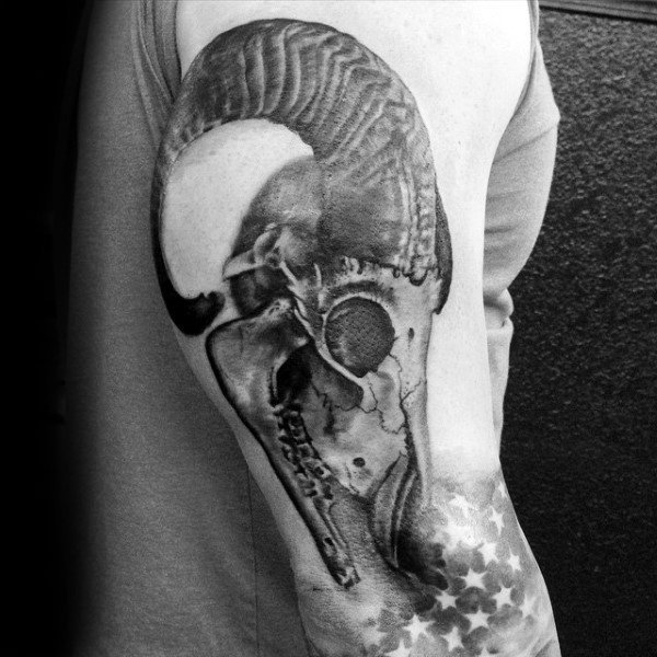 tatuaggio segno ariete 144