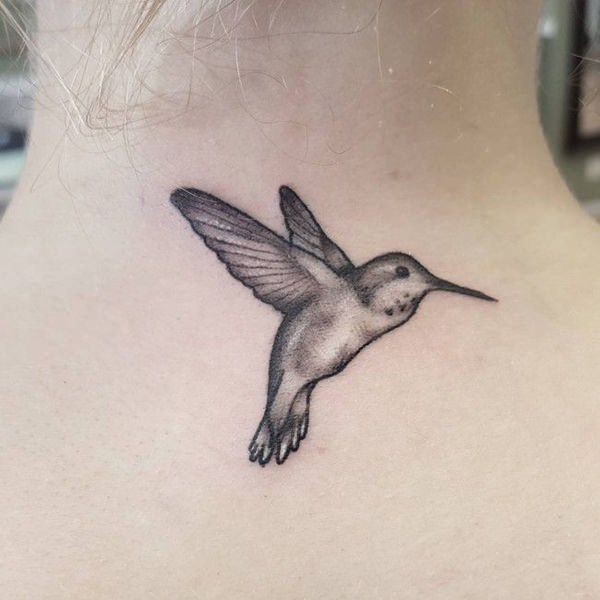 tatuaggio colibri 442
