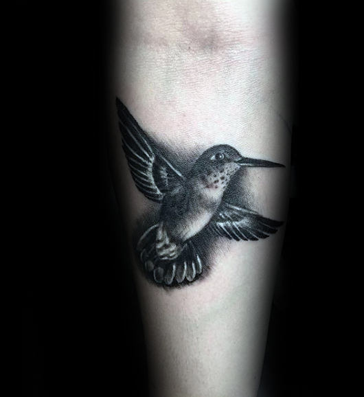 tatuaggio colibri 702