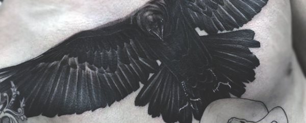tatuaggio corvo 338