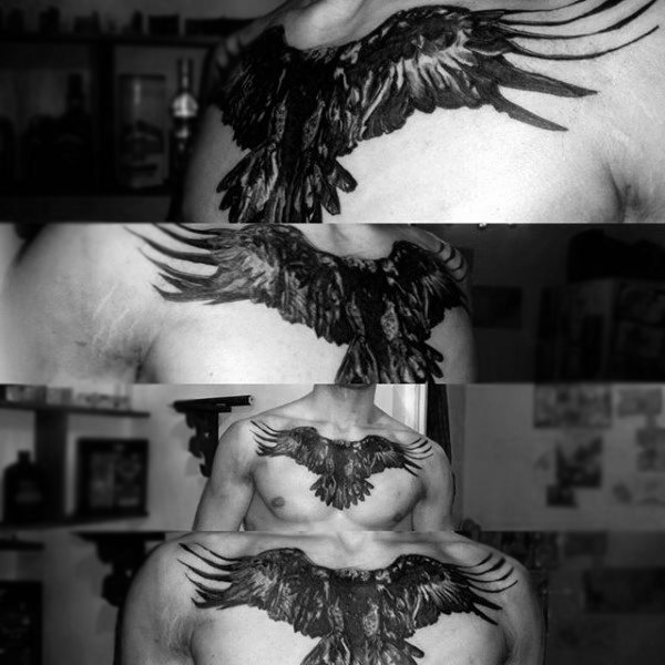 tatuaggio falco 262