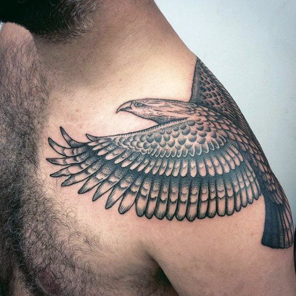 tatuaggio falco 278