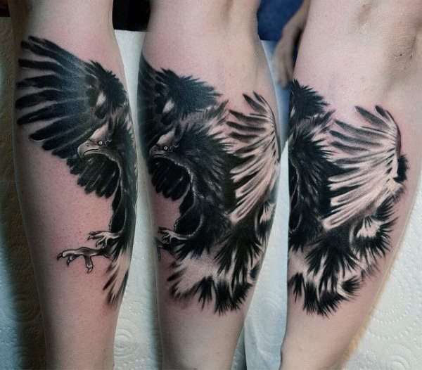 tatuaggio falco 38