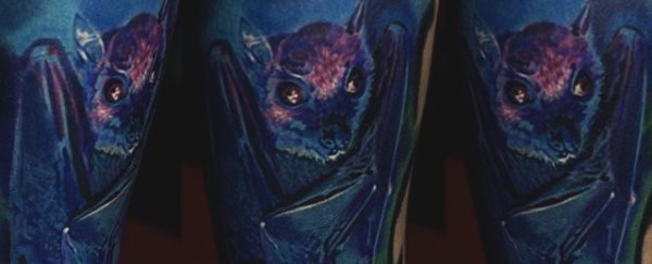tatuaggio pipistrello 26
