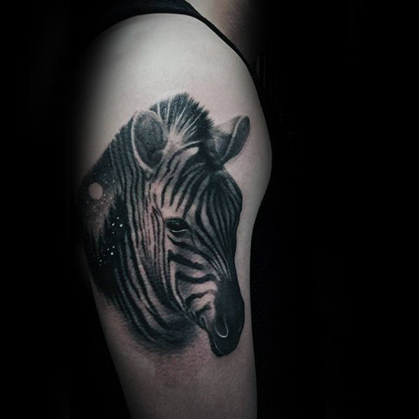 tatuaggio zebra 206
