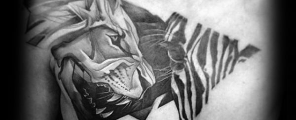 tatuaggio zebra 218
